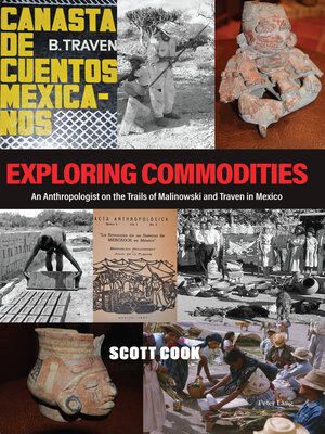 cover image of Exploring Commodities